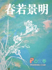 异洞浩劫前传【迷走云豹】